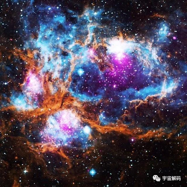 多细胞动物体只有5级结构，宇宙竟然包含9级