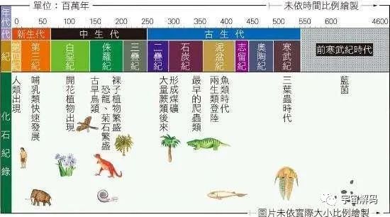 人类文明进化的四种状态：炭基、硅基、超级个体及灵魂文明