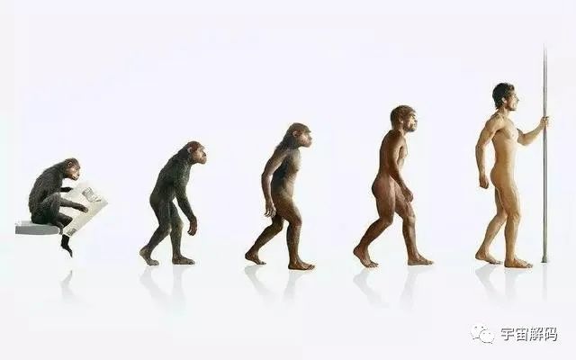 以人类起源的三种假说为例，说明人类为何不能追本溯源？