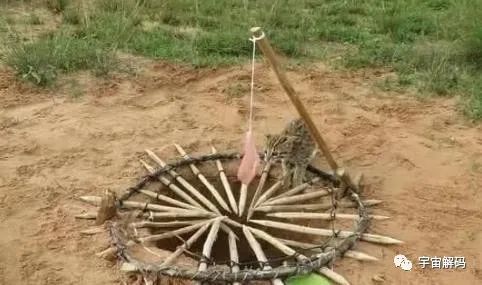 人类为什么没有进化出毒液？