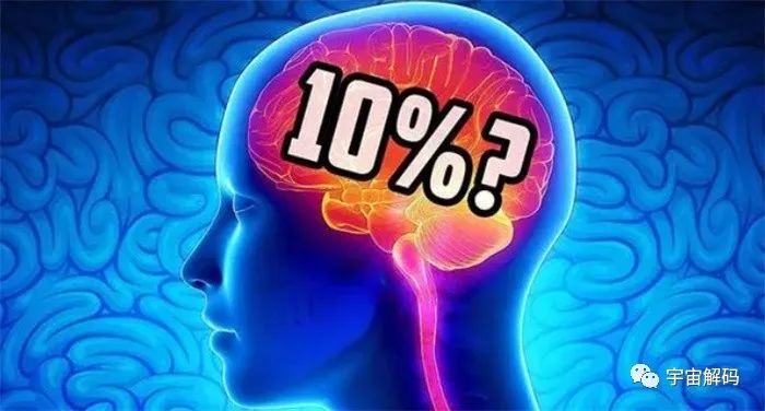 成年人也会突然开窍，人的大脑只开发了10%？