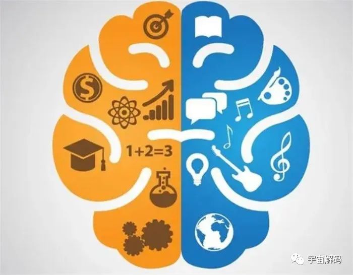 成年人也会突然开窍，人的大脑只开发了10%？