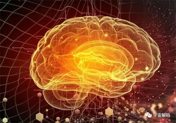 成年人也会突然开窍，人的大脑只开发了10%？