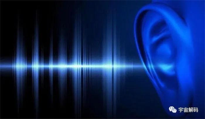 人为什么要畏惧声音 声音到底有多大的力量