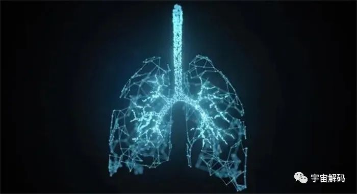 地球上的氧气是突然出现的，会不会突然消失？如果消失微生物将成为地球的主宰