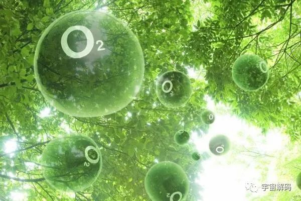 地球上的氧气是突然出现的，会不会突然消失？如果消失微生物将成为地球的主宰