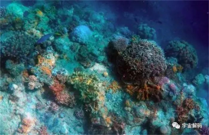 刷新寿命认知：1亿年前的沉积物中，有99.1%的微生物存活
