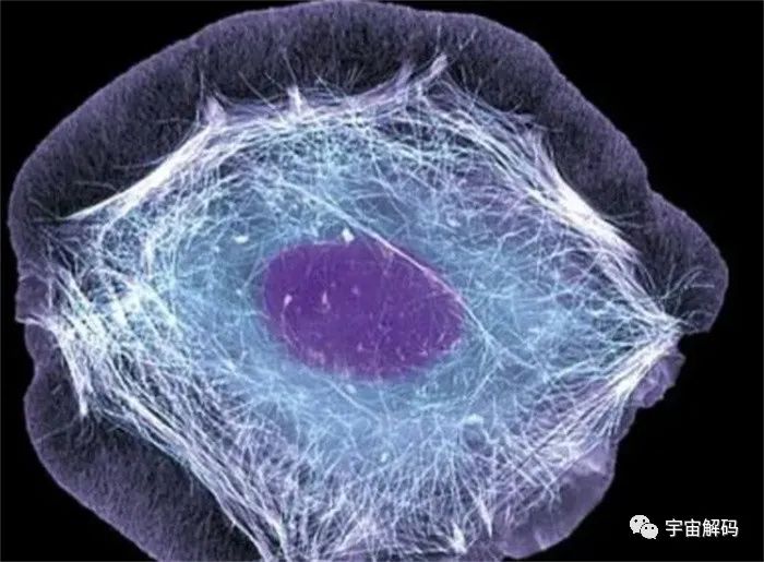 刷新寿命认知：1亿年前的沉积物中，有99.1%的微生物存活