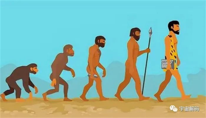人类要是全部消失，还能不能再进化出来？需要多久？