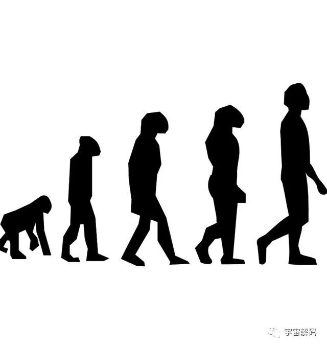 人类要是全部消失，还能不能再进化出来？需要多久？