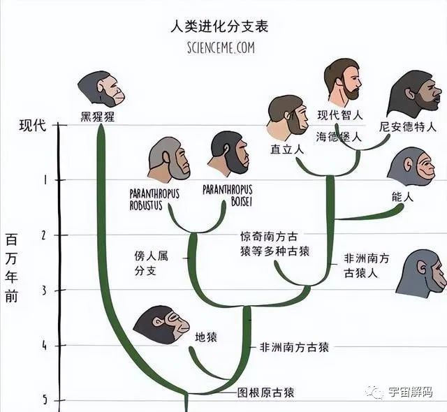 人类要是全部消失，还能不能再进化出来？需要多久？