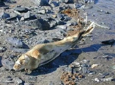 世界七大无人区死亡地带排名，罗布泊垫底！