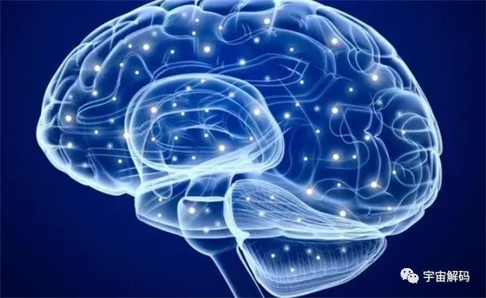 人类大脑的存储量究竟有多大？拿硬盘来比较