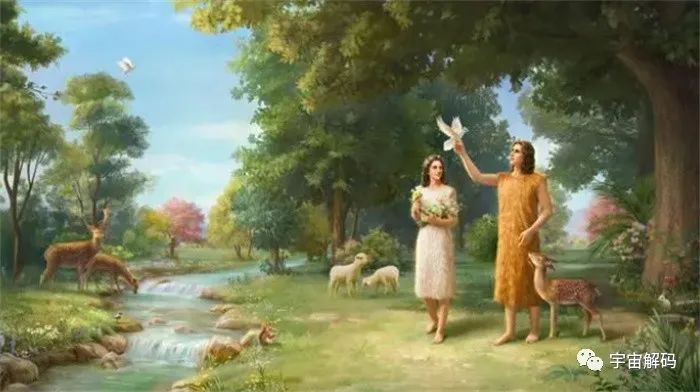 人类的祖先“露西”？地球上第一个女人和男人是怎么诞生的？