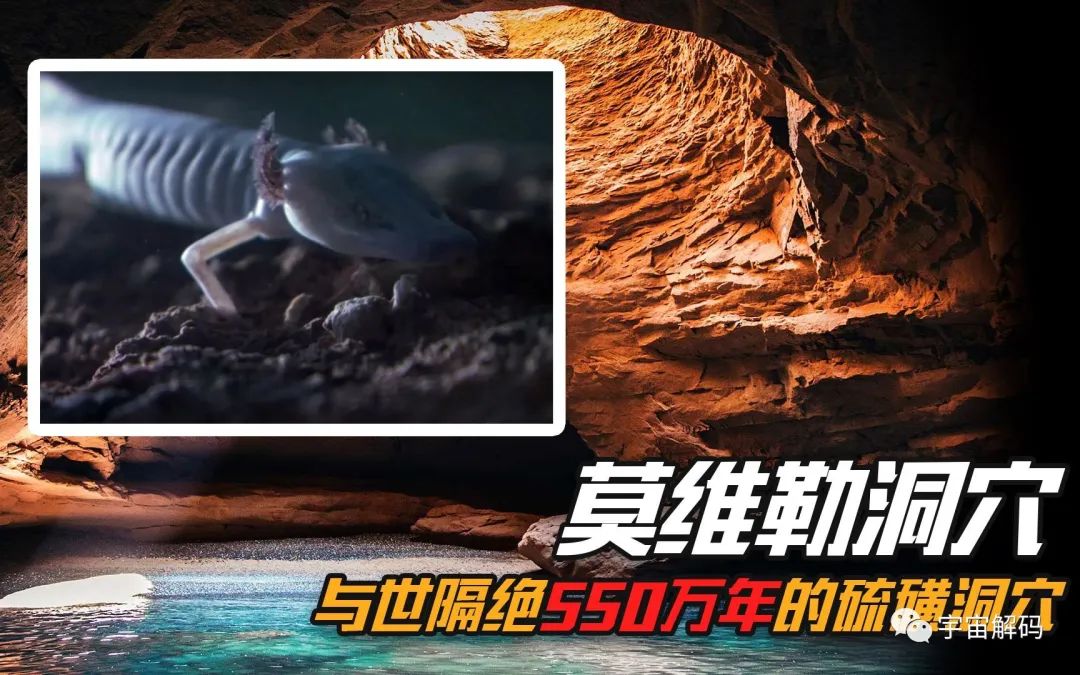 科学家误入550万年前的洞穴，里面充满毒气，多种生物从未见过
