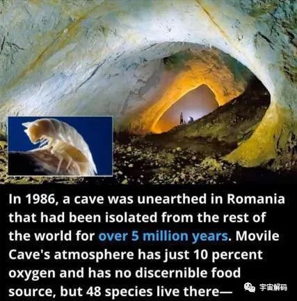 科学家误入550万年前的洞穴，里面充满毒气，多种生物从未见过