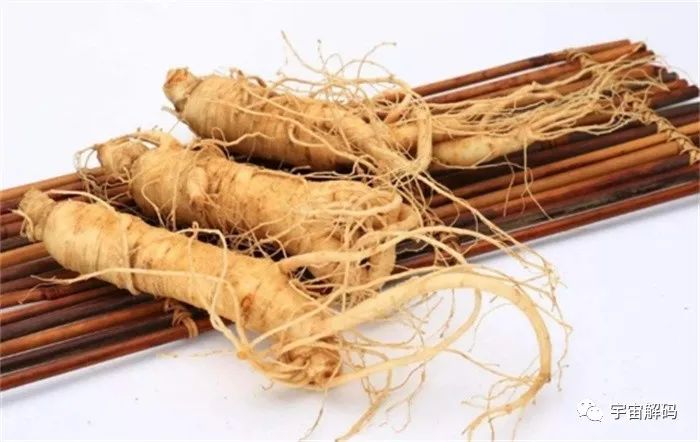 传闻千年人参会跑，究竟是怎么跑的