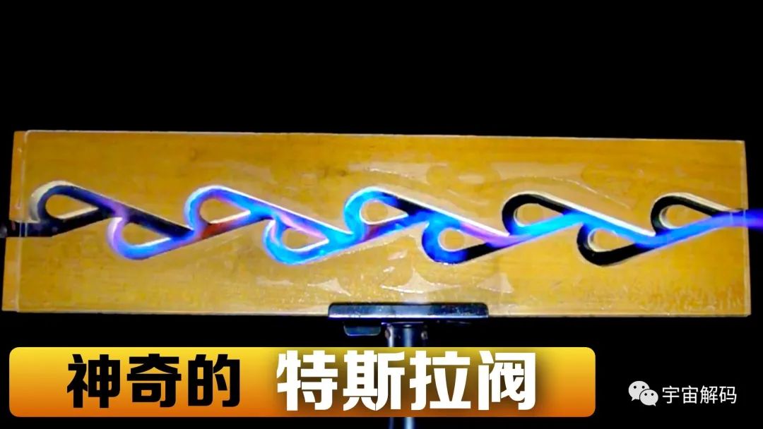 特斯拉阀很多人都知道，其实在自然界早就存在了