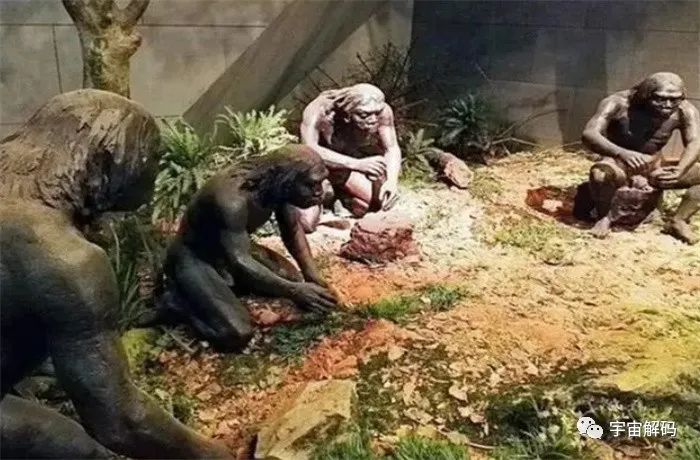 黑种人、黄种人、白种人有在身体结构上什么不同？