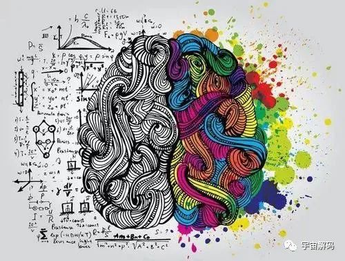 研究发现，2万年来人类大脑在持续缩小，我们在退化吗？