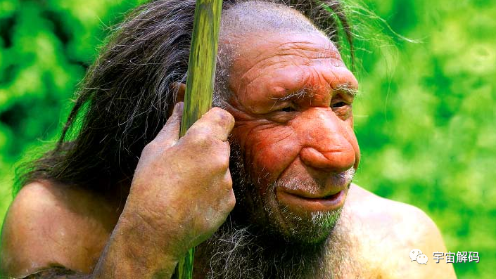 研究发现，2万年来人类大脑在持续缩小，我们在退化吗？