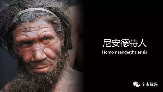 研究发现，2万年来人类大脑在持续缩小，我们在退化吗？