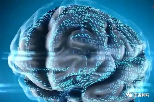 研究发现，2万年来人类大脑在持续缩小，我们在退化吗？