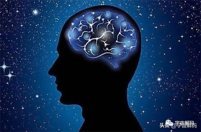 美色使男人大脑皮层活跃 男人竟拥有两个大脑