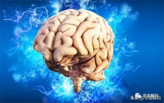 美色使男人大脑皮层活跃 男人竟拥有两个大脑