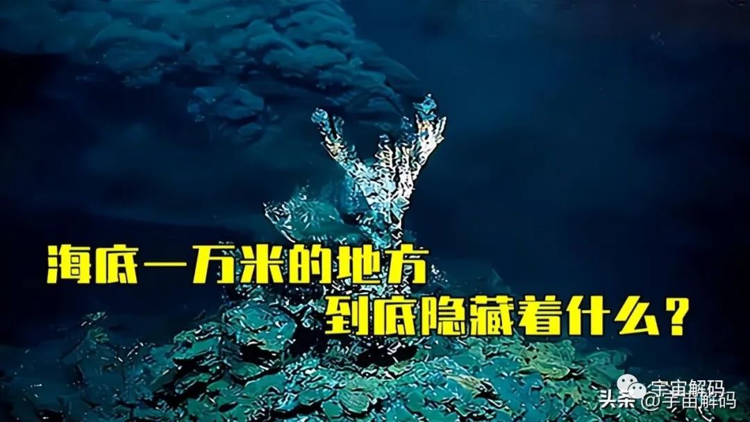 这是一个巨大的海底裂缝，潜藏着发光的生物