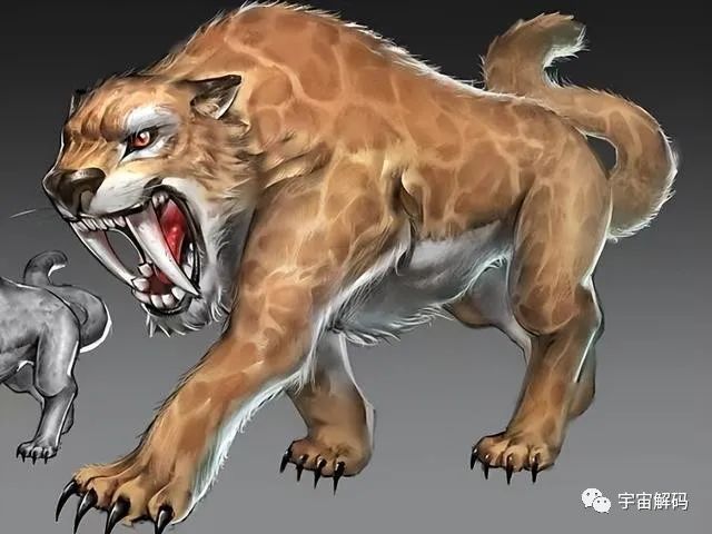 最大的犬科能打过最大猫科吗？