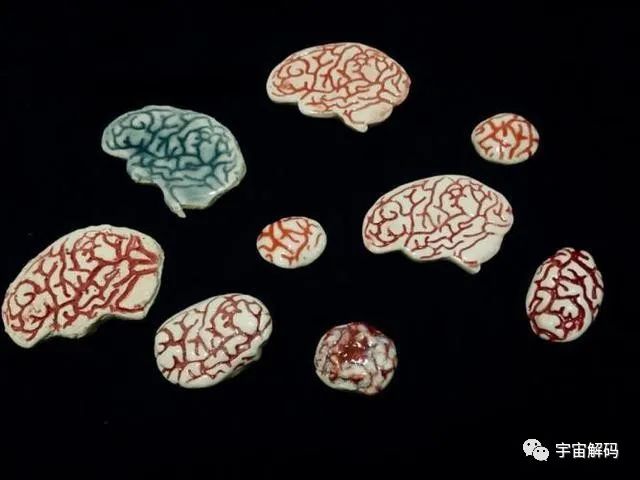 三岁之前的记忆被遗忘或者是被删除？是谁把记忆“抹去”了