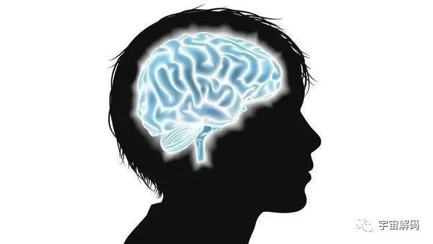 三岁之前的记忆被遗忘或者是被删除？是谁把记忆“抹去”了