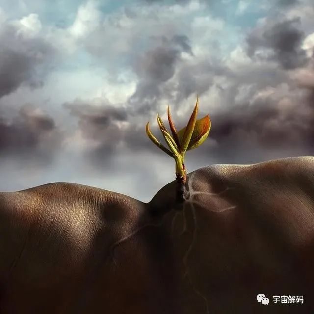 三岁之前的记忆被遗忘或者是被删除？是谁把记忆“抹去”了