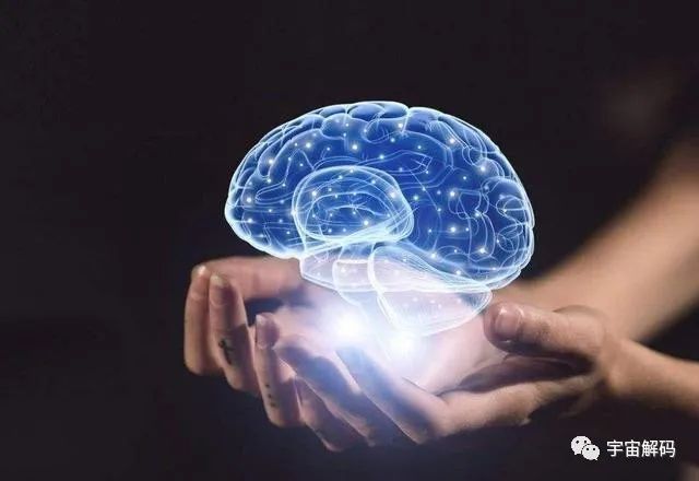 三岁之前的记忆被遗忘或者是被删除？是谁把记忆“抹去”了