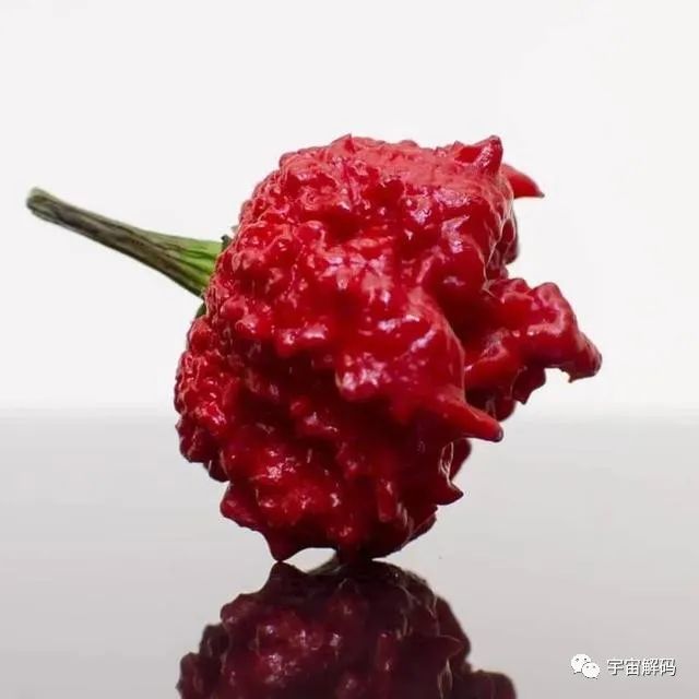 盘点世界上最辣的15种变态辣椒，辣到能致命