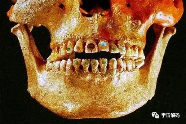 考古十大可怕发现：考古令人惊悚的瞬间（戈达德号沉船）
