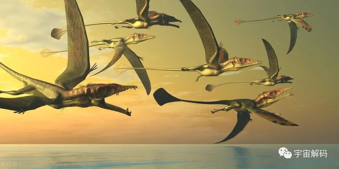 北极发现5.7万年前尸体，科学家提醒可能有更危险的东西