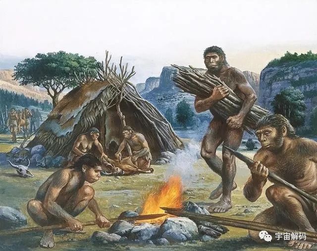 假如人类第一种驯化的食肉动物不是狼，而是其他动物，会怎么样？