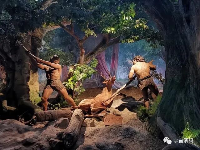 假如人类第一种驯化的食肉动物不是狼，而是其他动物，会怎么样？