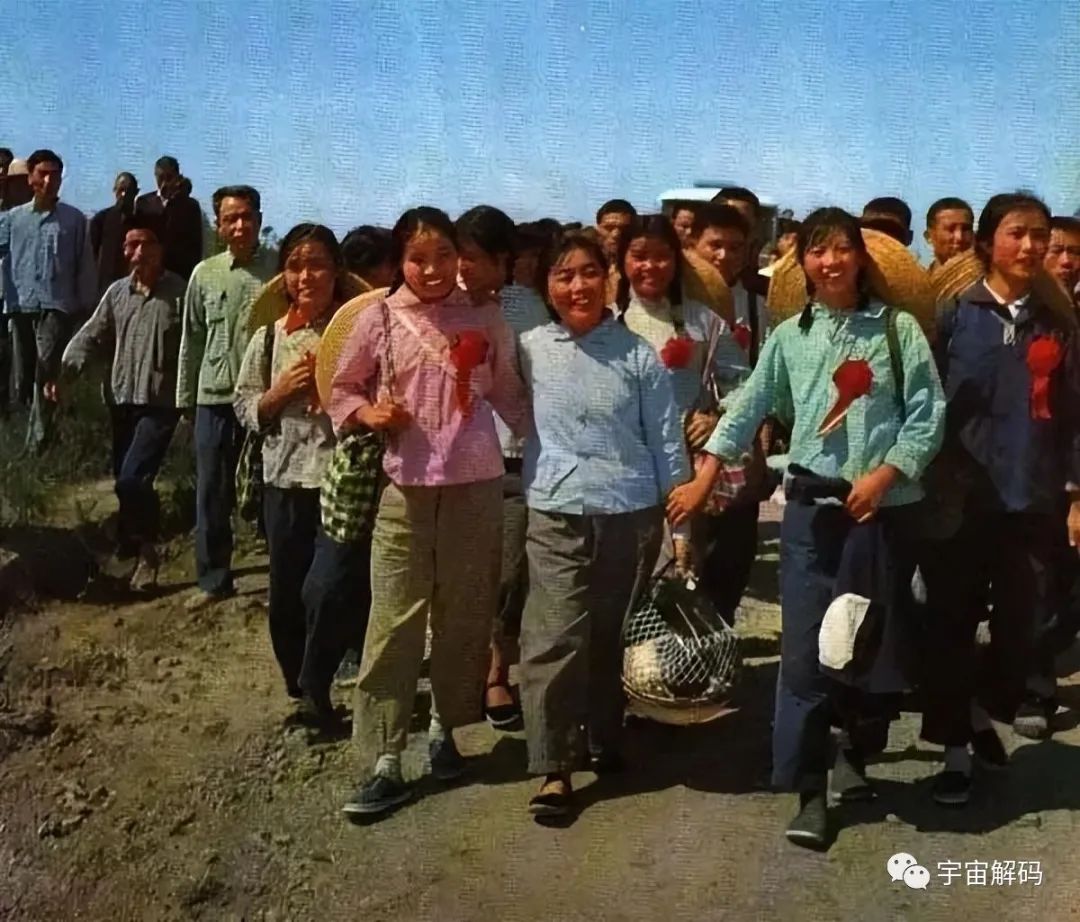 特殊年代，知青下乡的真实生活