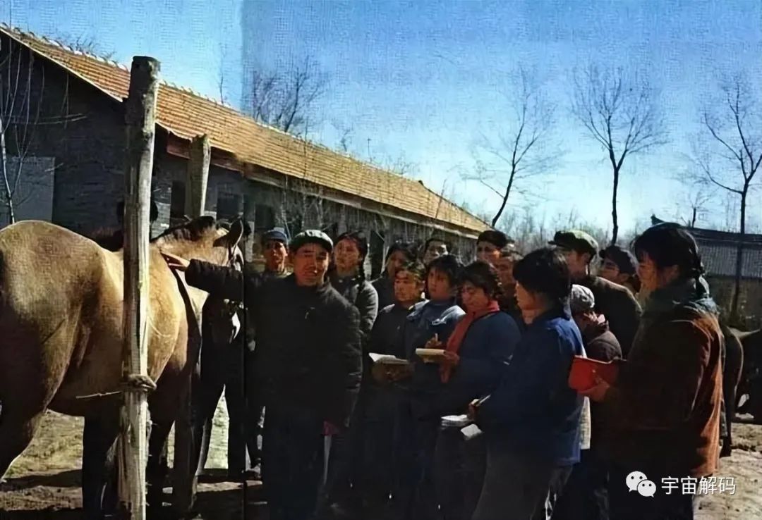 特殊年代，知青下乡的真实生活