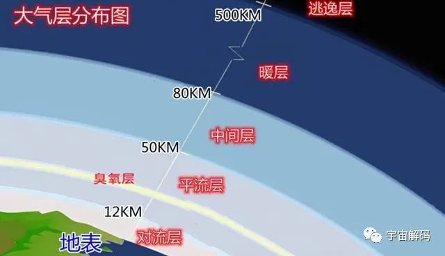 在人类登月之前，已有地球生物到过月球？