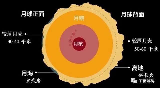 在人类登月之前，已有地球生物到过月球？