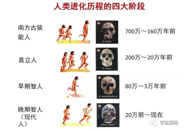 骇人伤痕揭示出可怕历史：北京猿人遭入侵，沦为食物还被灭绝