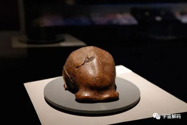 骇人伤痕揭示出可怕历史：北京猿人遭入侵，沦为食物还被灭绝