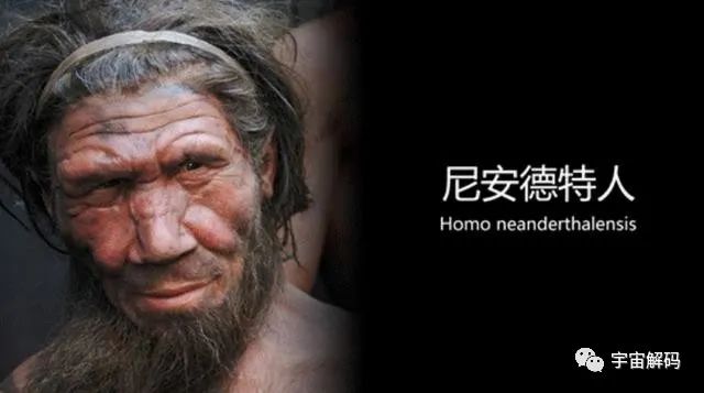 骇人伤痕揭示出可怕历史：北京猿人遭入侵，沦为食物还被灭绝