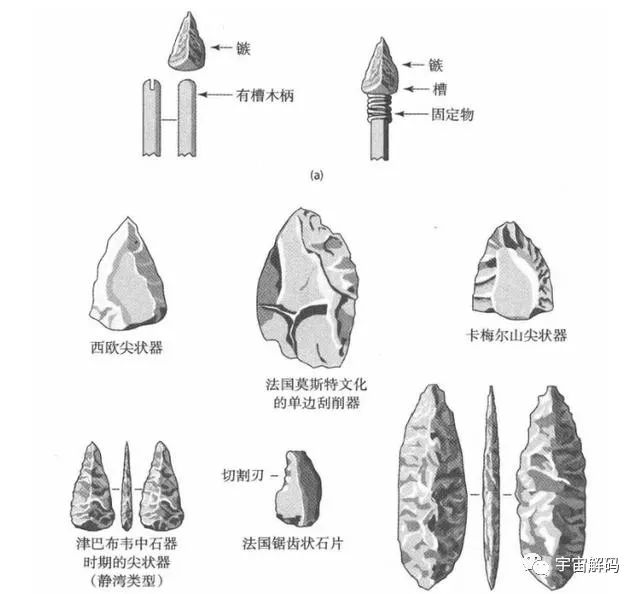 骇人伤痕揭示出可怕历史：北京猿人遭入侵，沦为食物还被灭绝